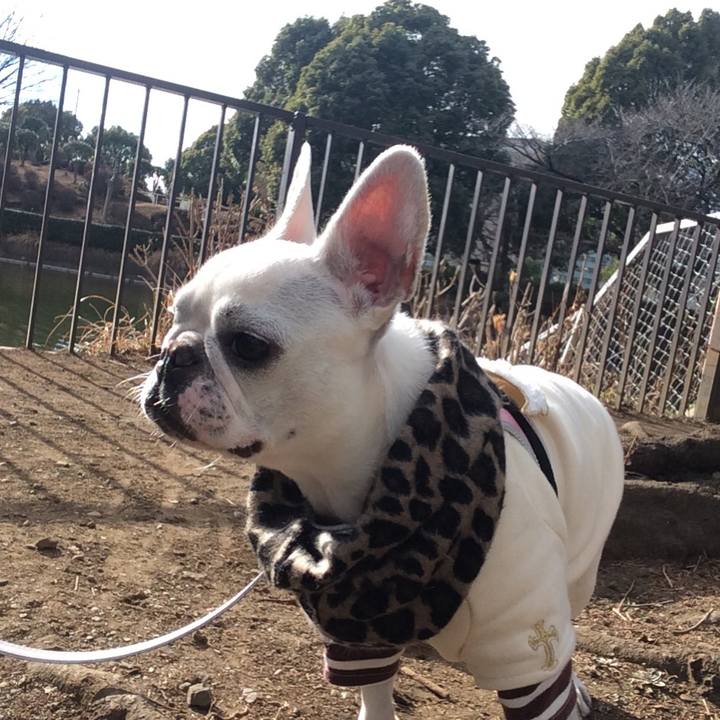 Fee185c8 4508 44e7 b39a 37c1987c9c6d