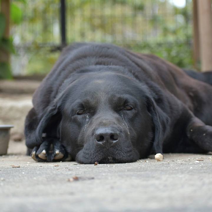 Fee2269a ab3b 4da6 9bd5 e993aa69ff1d