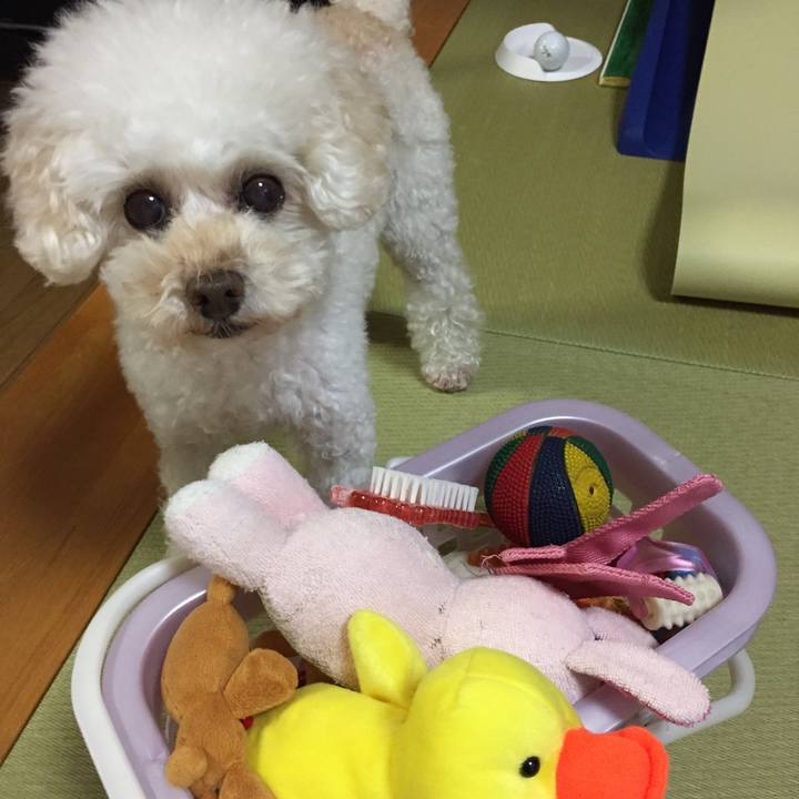 Fee237db b3bd 4e0c a81a 962b96568270