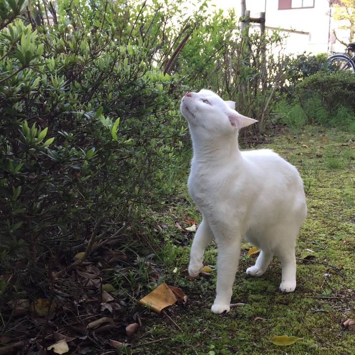 Fee2510c 34da 45cb 910c 022cfa2f35b4