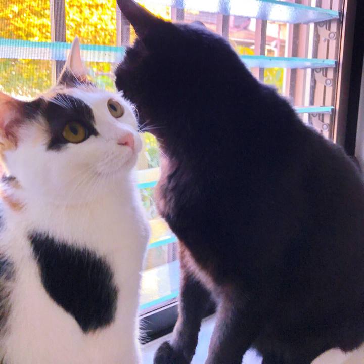 Fee36485 42fc 488c b7ae 9b7da3d42ca5