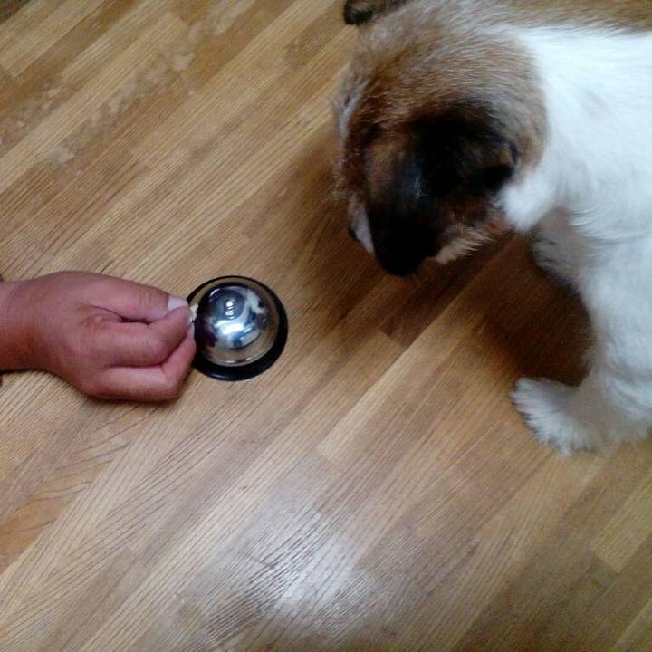 Fee37593 5a3e 40f0 b490 c4a8323135a7