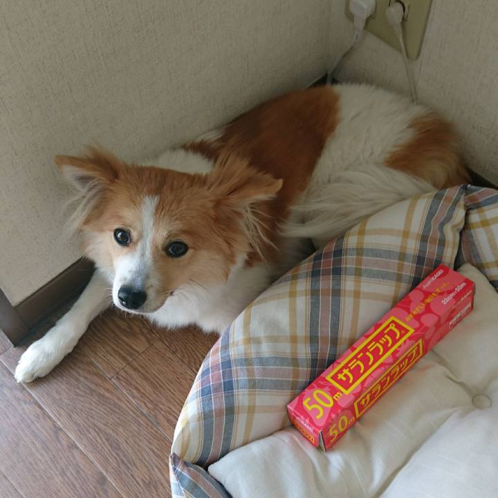 Fee3b515 3197 41e8 b0eb 09d684dd7f85