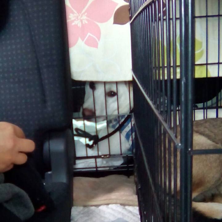 Fee3bbe3 7bd5 4710 a596 988edfab1a7d