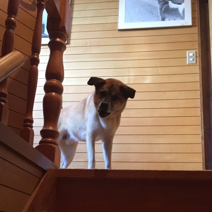 Fee43bd4 6117 4118 bd66 38cfc0550dea