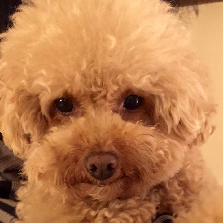 Fee4df93 d334 40ea b438 e197d03da958