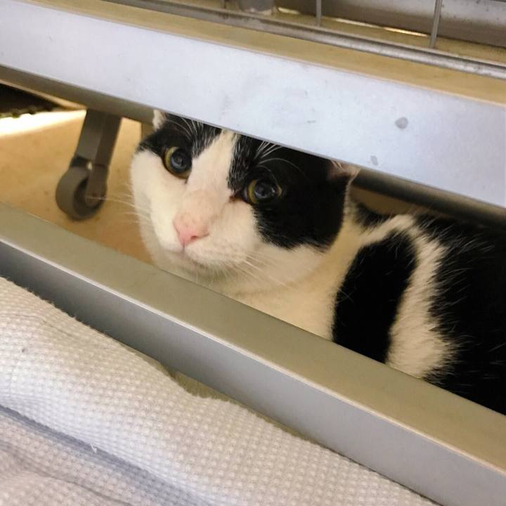 Fee538d5 e447 40a3 a191 07684a678e06