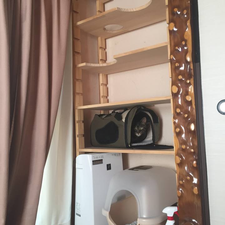 Fee59d49 e6d4 4c10 9e76 24d7c57e228c