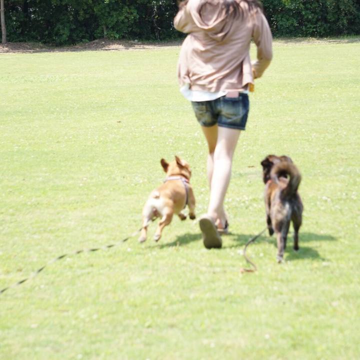 Fee5a278 294b 4bc4 a7f6 693e83929b4c