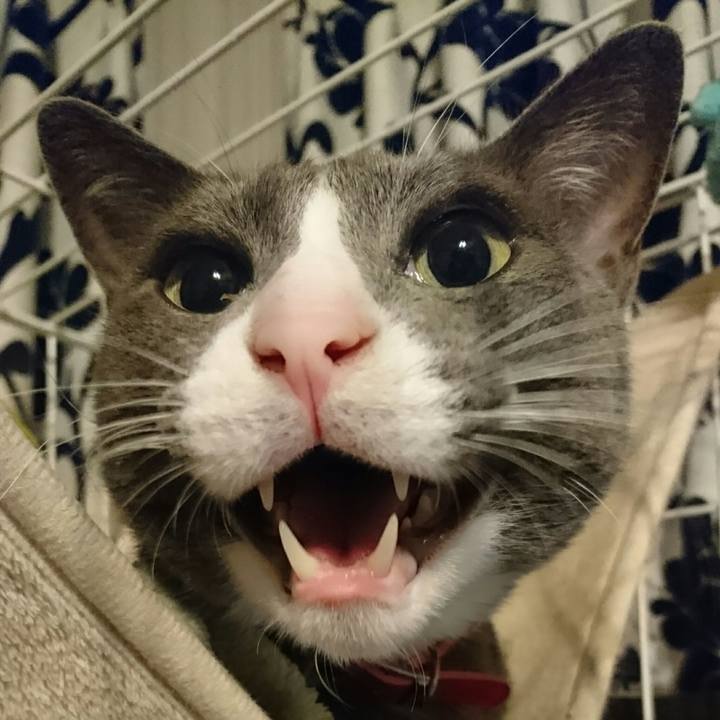 Fee5b6c4 974b 4f71 80bc e0f09a12dcd3