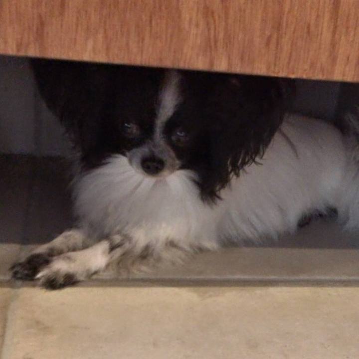 Fee69c51 3dc6 43f9 b384 0e625fc0667f