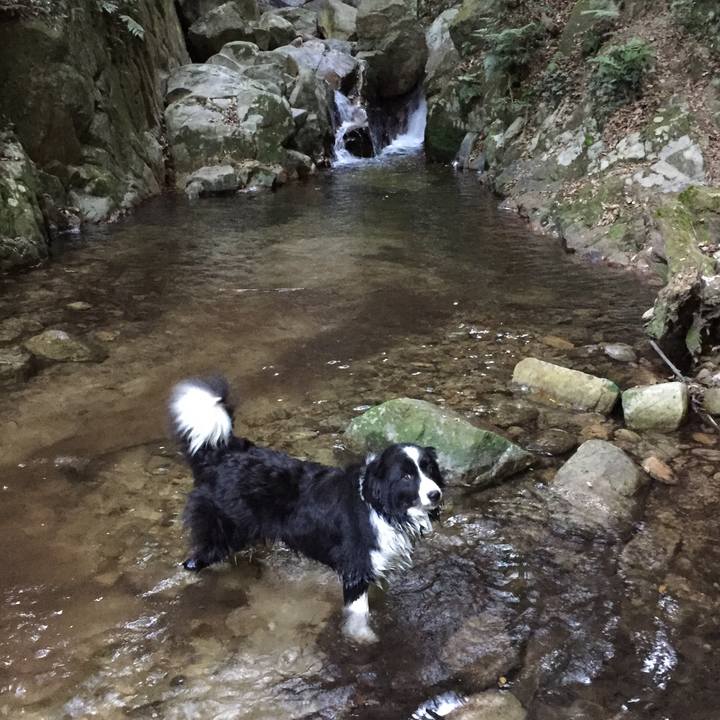 Fee6a029 56d2 4593 9b20 f568bb00a821