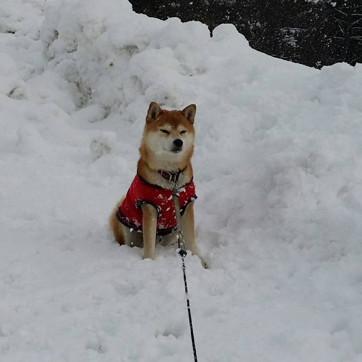 Fee6e45c acf7 49f8 b0cc 2d9db193b15e