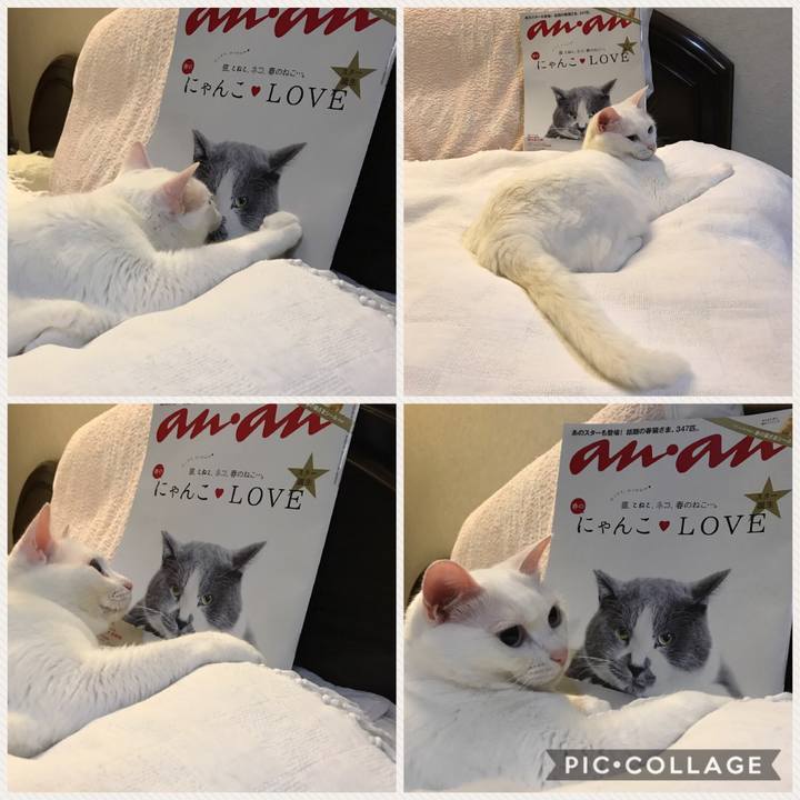 Fee78131 f84c 4ffe b5bf f4f08ab06c40