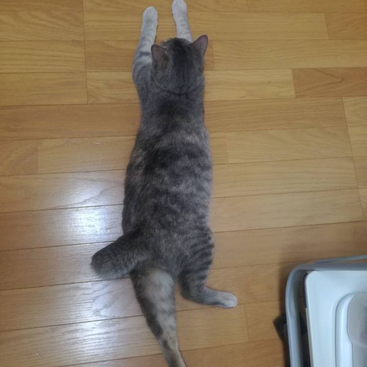 Fee7e46b 65ec 4a9e b09f 72093f2da8e8