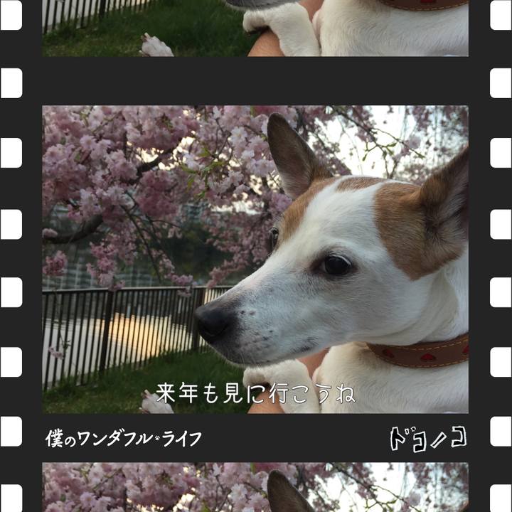 Fee82ba6 57b2 4b3d 9a4c 29ab6b0e1014