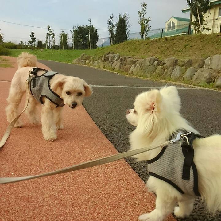 Fee90dd0 5539 4e7c 931c 14d559d77685