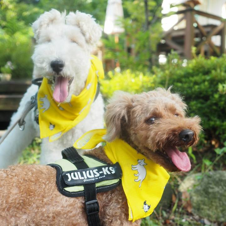 Fee9fb0e a036 40a6 adf8 1657435caeeb