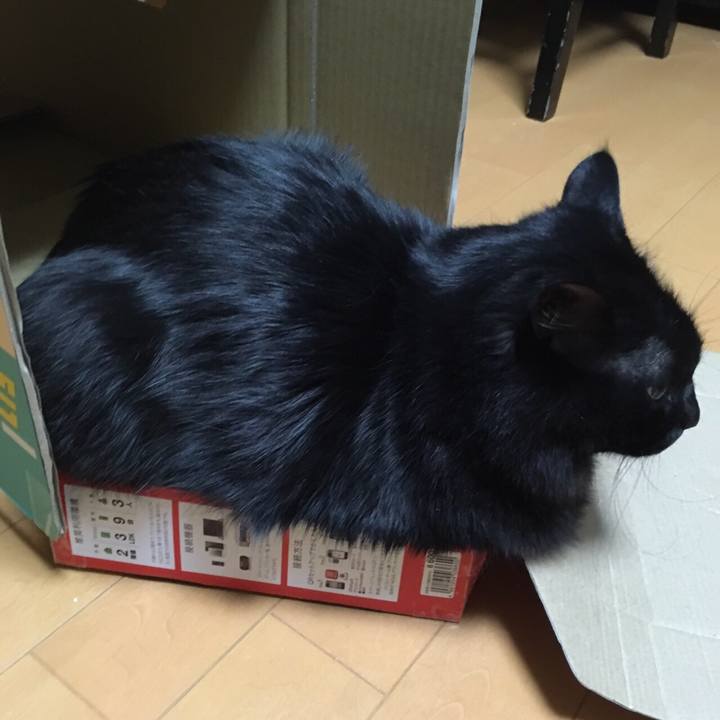 Feead3dd 0633 4014 adff 5e5cb36e08a7