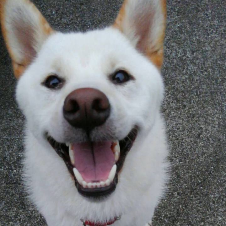 Feeae41f a9cb 4b0f 9dd5 16fc06b9d110