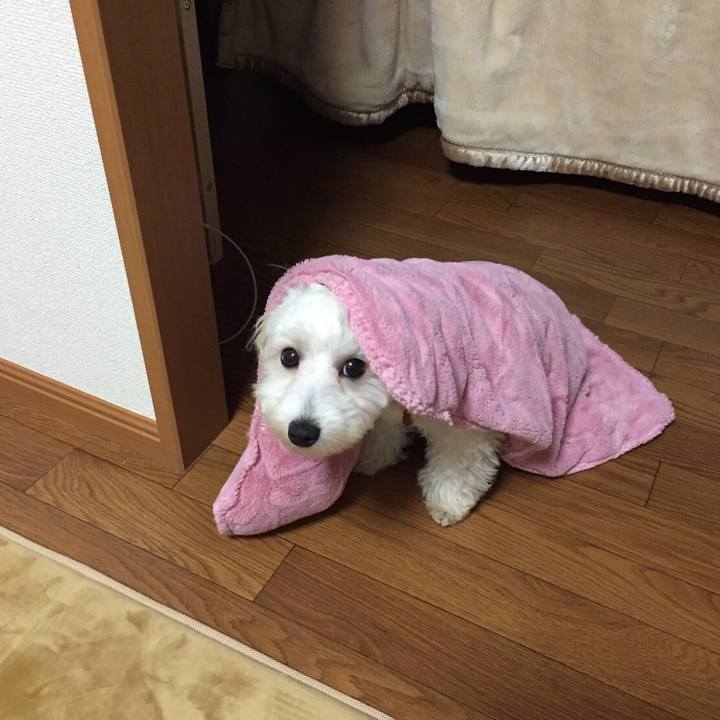 Feeb44e5 70fd 47a2 bbe9 7306a3040edd