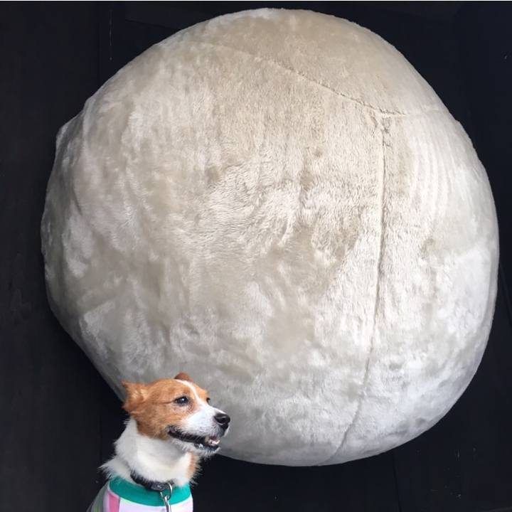 Feeb4769 97c1 4fc0 94cf 350480225a3f