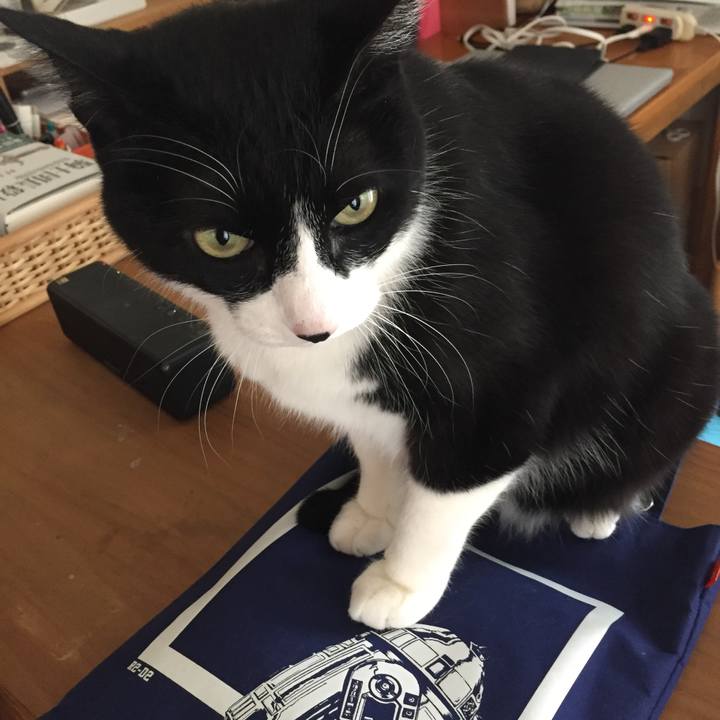 Feebac31 78d6 4805 95da 2d02c79aed69