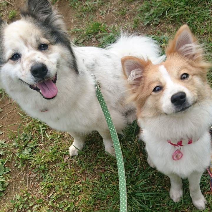 Feebac3a 8e40 4264 8bab c73f8f778943