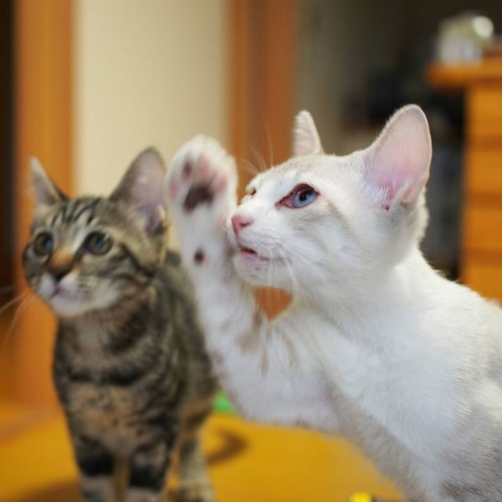 Feebf587 1ef4 4ad7 91ec 351aa5d7d5e0