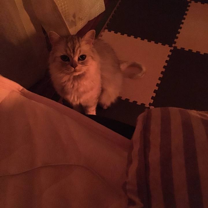 Feec7dd6 6a62 4f3c 8d3d cada94289413