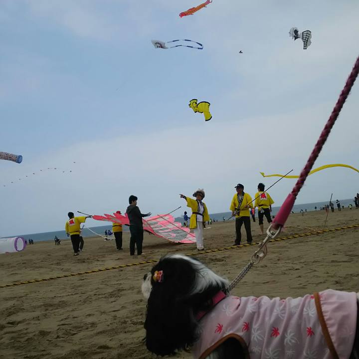 Feed9682 f677 4229 bf0d f3701c14ddf7