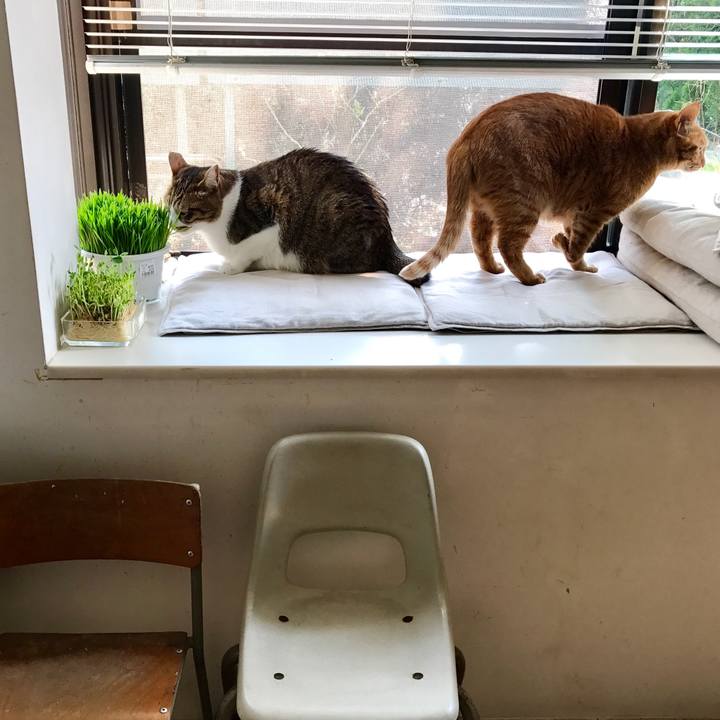 Feef2666 15ae 4f8d b4e3 a197557f0640