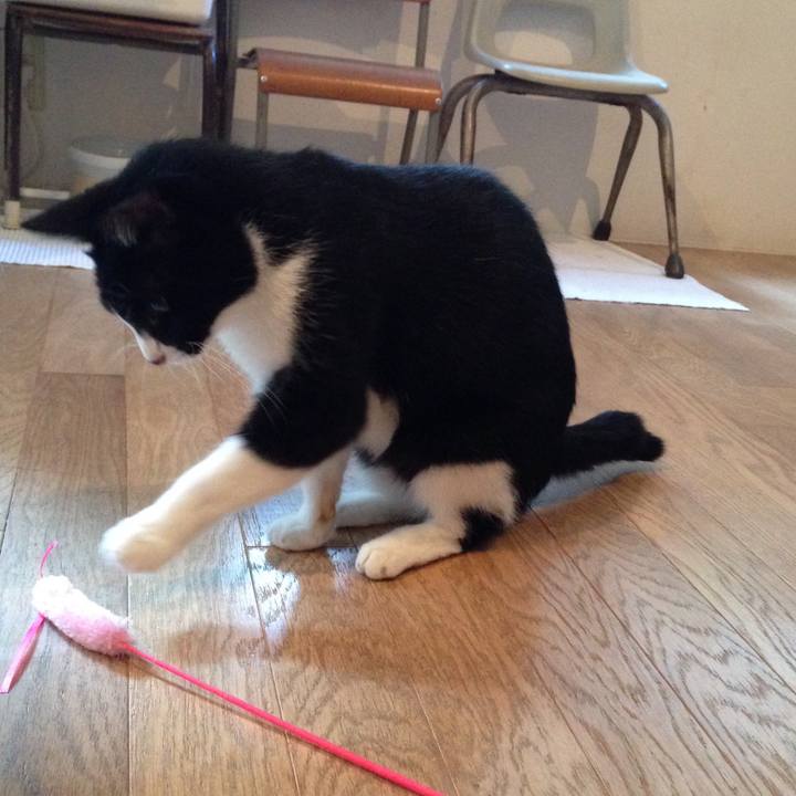 Feef41d9 78ee 4e0b 86bb 6094ce4a10bc