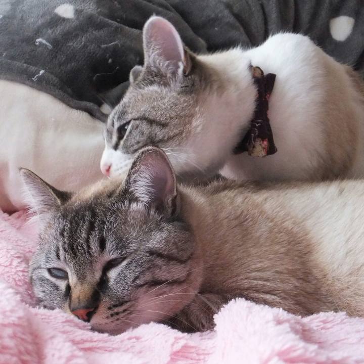 Feefc489 c82b 49e2 83cb 1e491e11b886