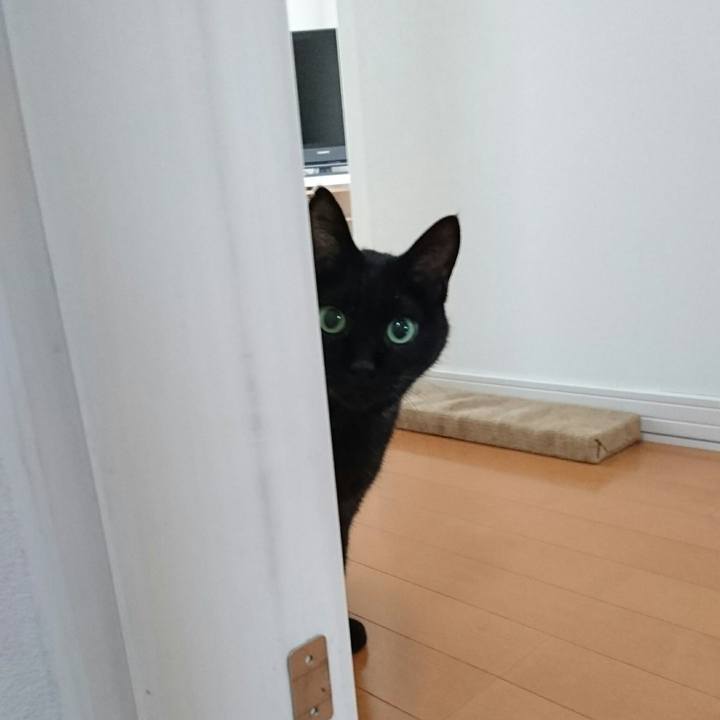 Fef08f27 2424 48b2 9e0e 50f0290d9406