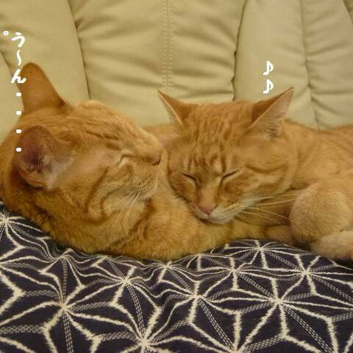 Fef0db9c a51d 4e41 a4b4 16255e61b3d1