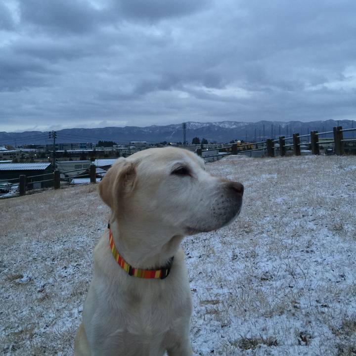 Fef10101 00b5 4397 bb88 5c241d83477d