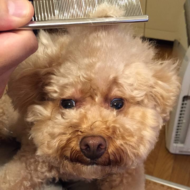 Fef101b9 a07a 440a 8dcb 31f855ac19ef