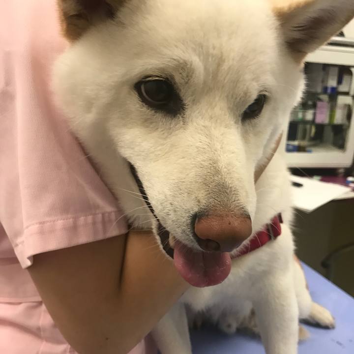 Fef1c196 0d61 4ebe a0f0 407263fc7f14