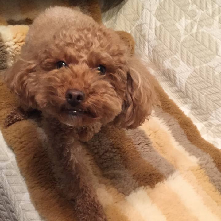 Fef25aa3 6115 411e b0c6 a38f2fafbeea