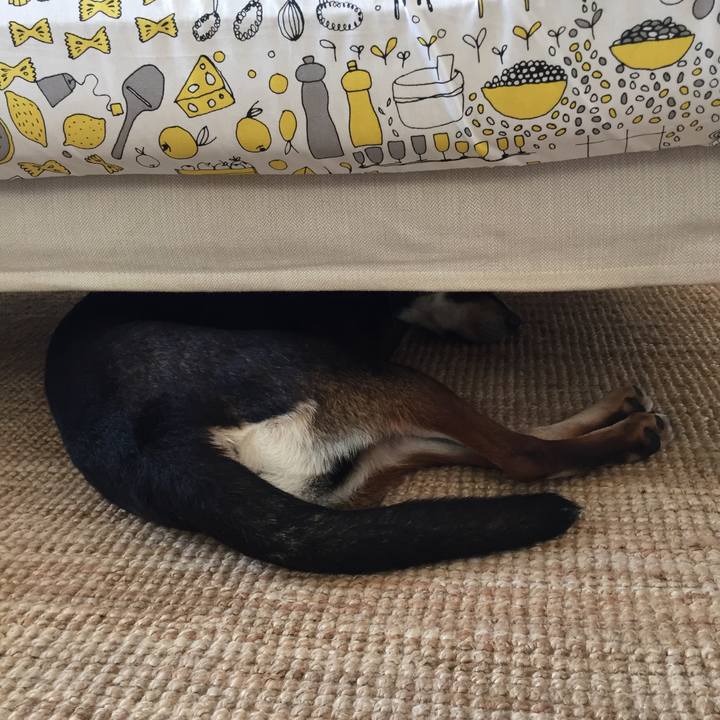 Fef25c51 8a34 4c73 b4dc d598ab725991