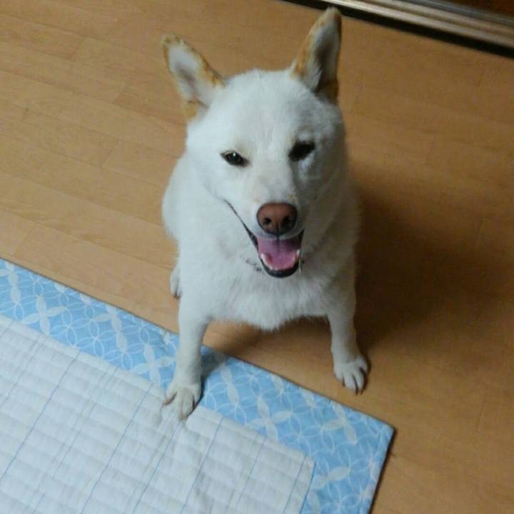 Fef27706 1b3d 4073 b11f f1c55ac3ab66