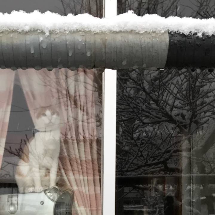 Fef2b047 d394 41b8 baaf 0454723eadcd