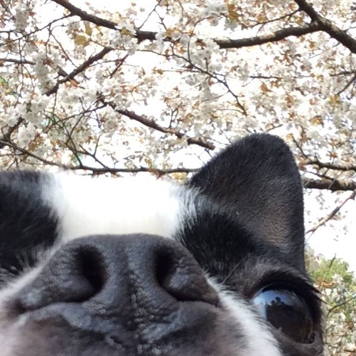 Fef2f03d fbd1 462e a19a b3c291e7c065