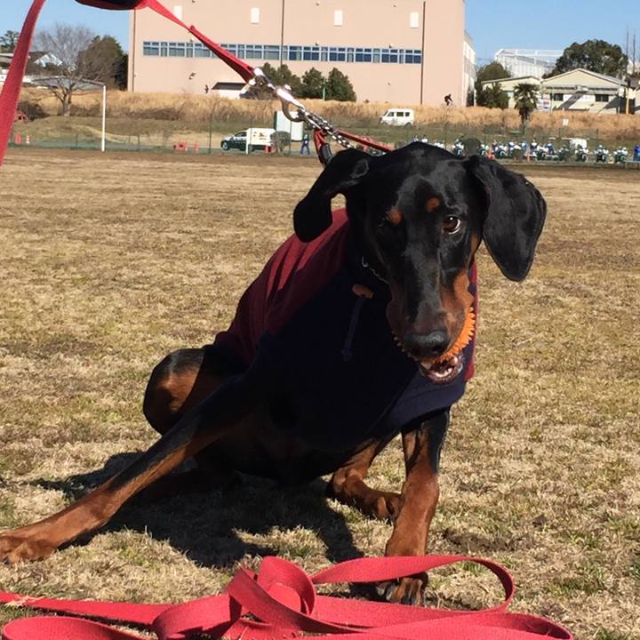 Fef34aef 46f5 4f9f 800e 5b02c1e44834