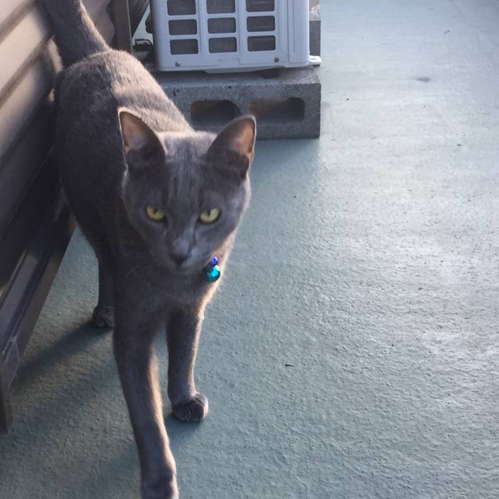 Fef3645f 7288 4c02 baa7 1f8010e47a86