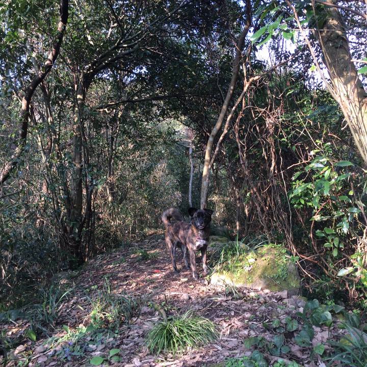 Fef37e71 cdf0 4588 95ec 04b64d275e05