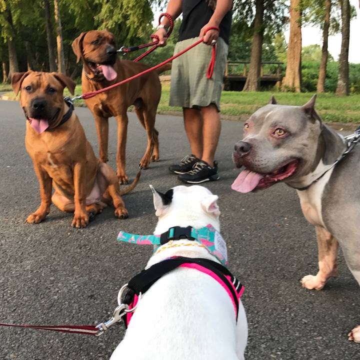 Fef435f7 7cf7 411c 8c53 f9a836bad25a