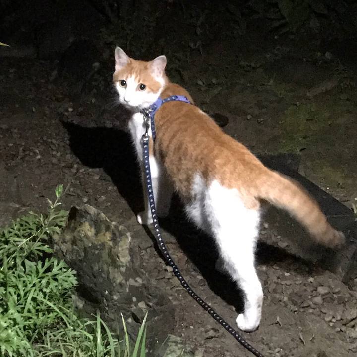 Fef44532 7036 4aa7 8a13 5495c64ec9f3