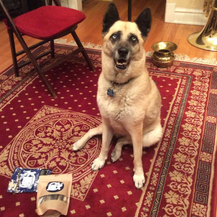 Fef4e578 db3e 46af 8a59 e77e2f3ec846